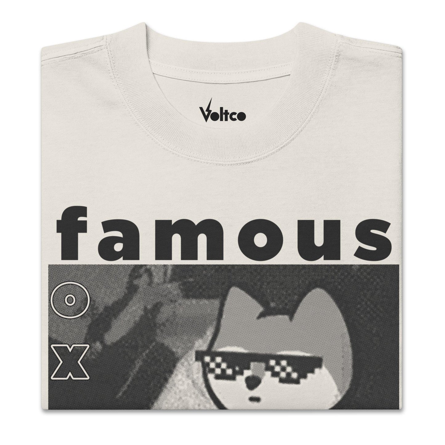 Famous Fox Fed Oversized Faded Tee